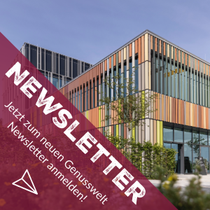 Newsletter Kachel Website